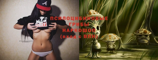 2c-b Богородицк