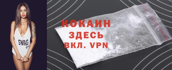 2c-b Богородицк