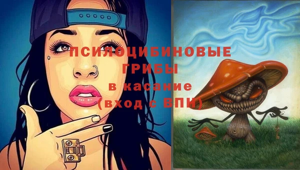 мдпв Богданович