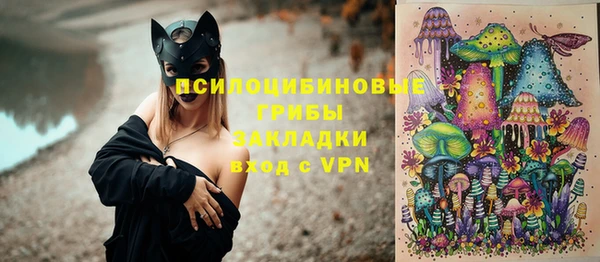 2c-b Богородицк