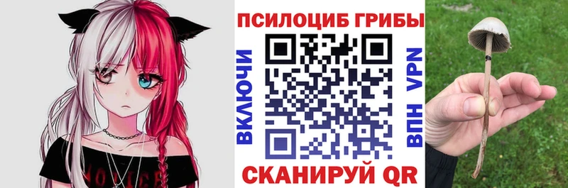 ссылка на мегу онион  Купино  Псилоцибиновые грибы ЛСД 